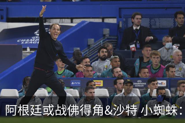 阿根廷或战佛得角&沙特 小蜘蛛：不怕西班牙但避开最好